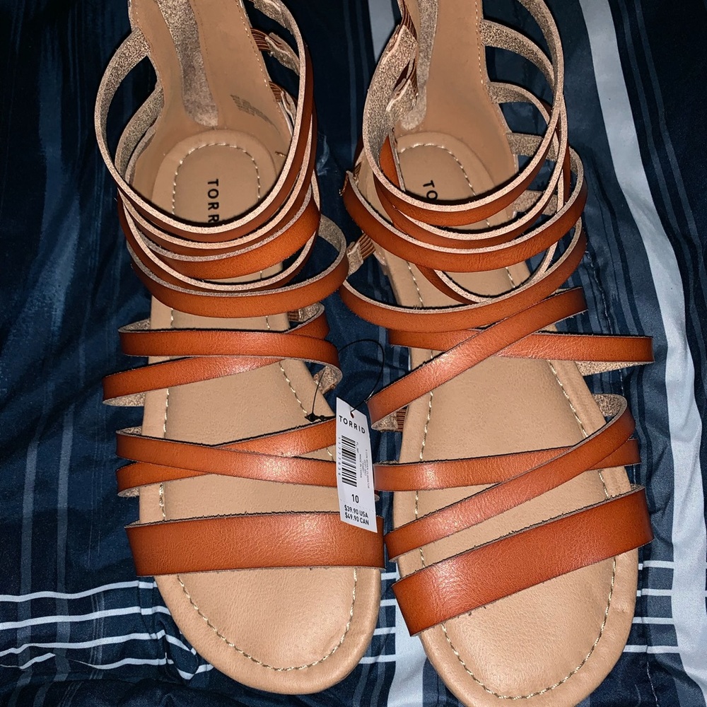 Torrid Gladiator Sandals